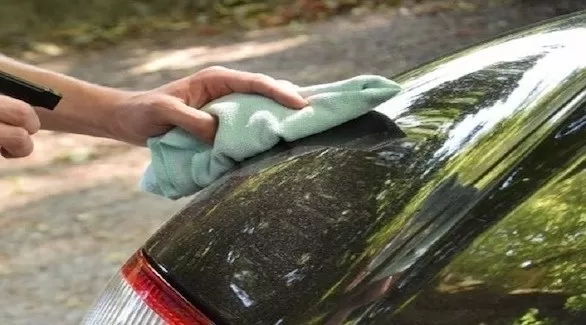 مدار الساعة,أخبار خفيفة ومنوعة,كورونا