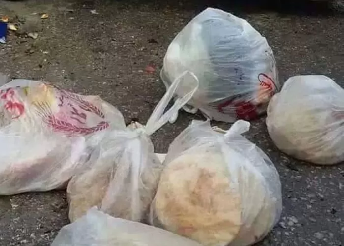 مدار الساعة,أخبار الأردن,اخبار الاردن,وزير الإدارة المحلية,وليد المصري