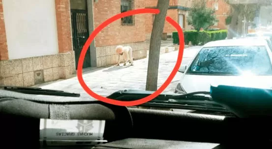 مدار الساعة,أخبار خفيفة ومنوعة,كورونا