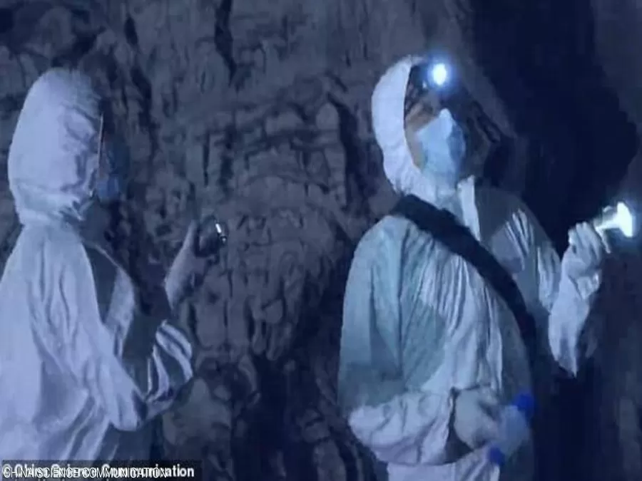 مدار الساعة,أخبار عربية ودولية,كورونا,كوفيد 19