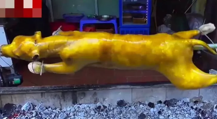 مدار الساعة,أخبار خفيفة ومنوعة,كورونا,مركز الحسين للسرطان