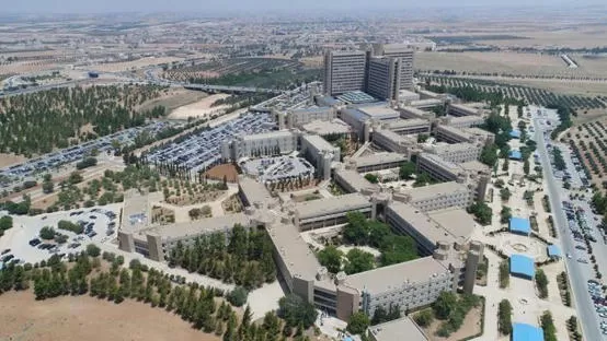 مدار الساعة,أخبار الأردن,اخبار الاردن,كورونا,الملك المؤسس