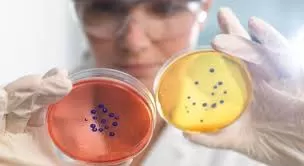 مدار الساعة,أخبار عربية ودولية,كورونا