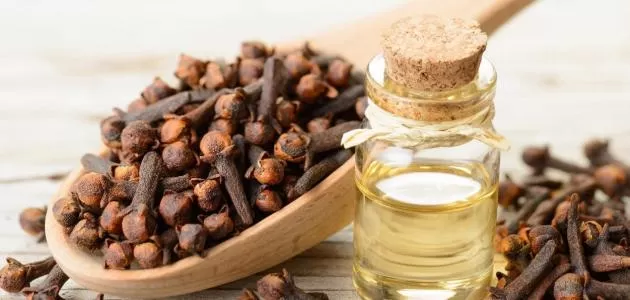 مدار الساعة,مقالات,كورونا,وزارة الصحة,منظمة الصحة العالمية,جامعة اليرموك