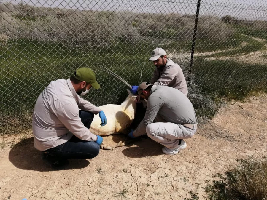 مدار الساعة,أخبار الأردن,اخبار الاردن