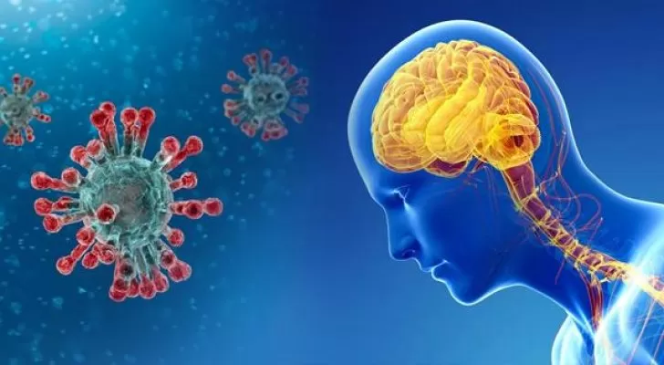 مدار الساعة,أخبار خفيفة ومنوعة,كورونا,كوفيد 19