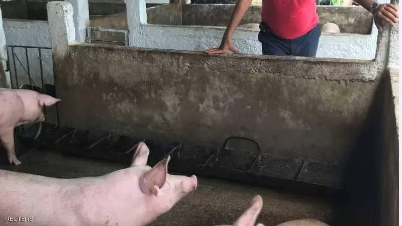 مدار الساعة,أخبار عربية ودولية,كورونا,وزارة الزراعة