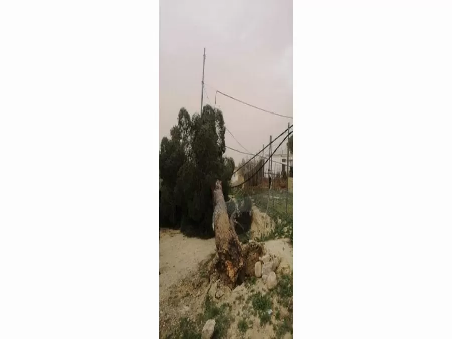 مدار الساعة,أخبار الأردن,اخبار الاردن,شركة توزيع الكهرباء
