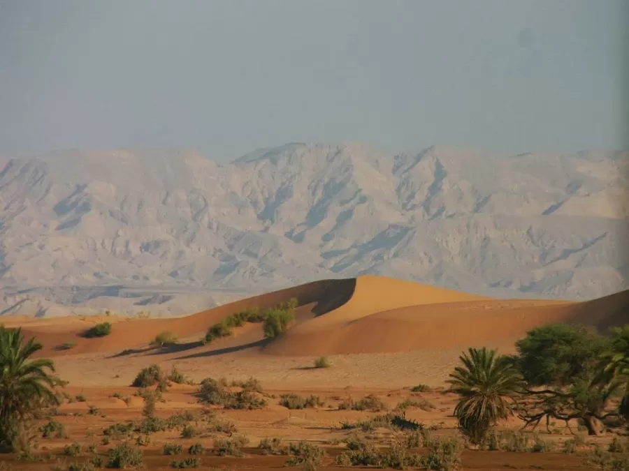 مدار الساعة,أخبار الأردن,اخبار الاردن