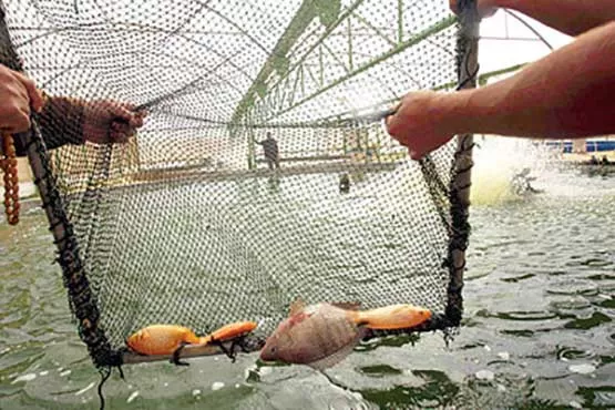 مدار الساعة,أخبار اقتصادية,دائرة الإحصاءات العامة