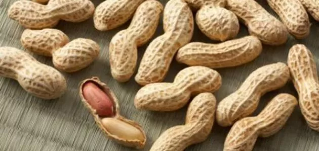 مدار الساعة,أخبار الأردن,اخبار الاردن,المؤسسة العامة للغذاء والدواء,رئاسة الوزراء