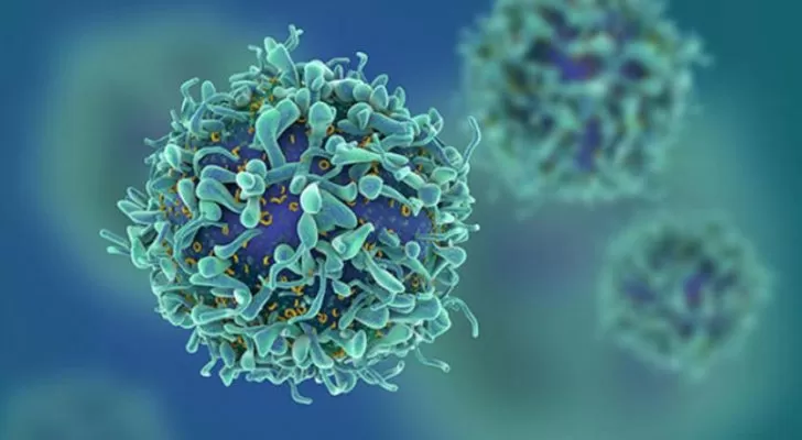 مدار الساعة,أخبار خفيفة ومنوعة