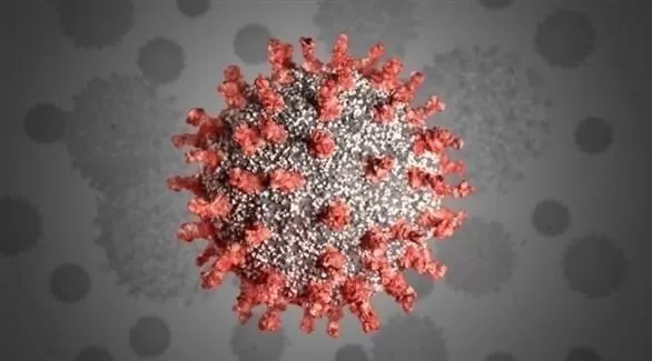 مدار الساعة,أخبار خفيفة ومنوعة,كورونا,منظمة الصحة العالمية