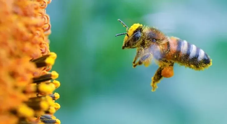 مدار الساعة,أخبار خفيفة ومنوعة