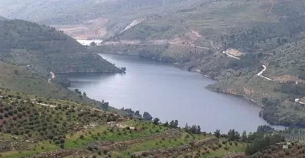 مدار الساعة,أخبار اقتصادية,سلطة وادي الأردن,دائرة الأراضي والمساحة,مؤسسة الإقراض الزراعي,وادي الأردن,الإقراض الزراعي