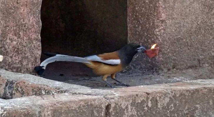 مدار الساعة,أخبار خفيفة ومنوعة