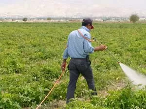 مدار الساعة,أخبار الأردن,اخبار الاردن,وزير المياه والري,رائد ابو السعود,كورونا,وزارة المياه والري,وزارة المياه