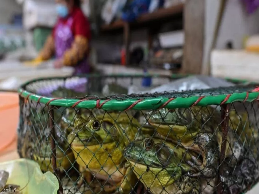مدار الساعة,أخبار عربية ودولية,كورونا