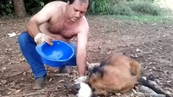 مدار الساعة,Video,فيديو,أخبار خفيفة ومنوعة