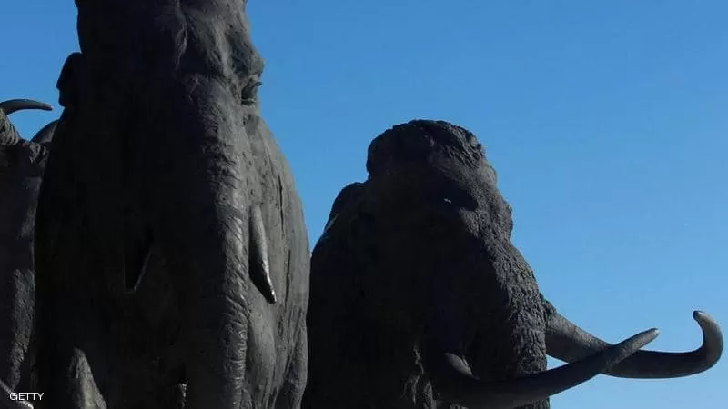 مدار الساعة,أخبار خفيفة ومنوعة