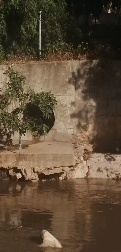 مدار الساعة,أخبار الأردن,اخبار الاردن,وزارة المياه والري,وزارة المياه