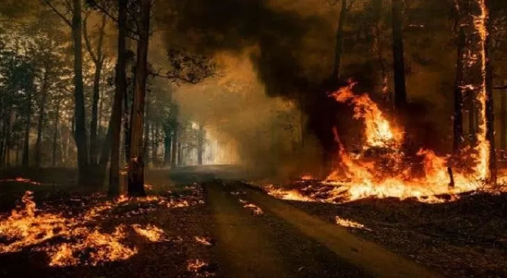 مدار الساعة,أخبار عربية ودولية