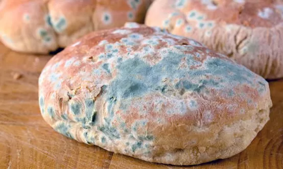 مدار الساعة,أخبار خفيفة ومنوعة