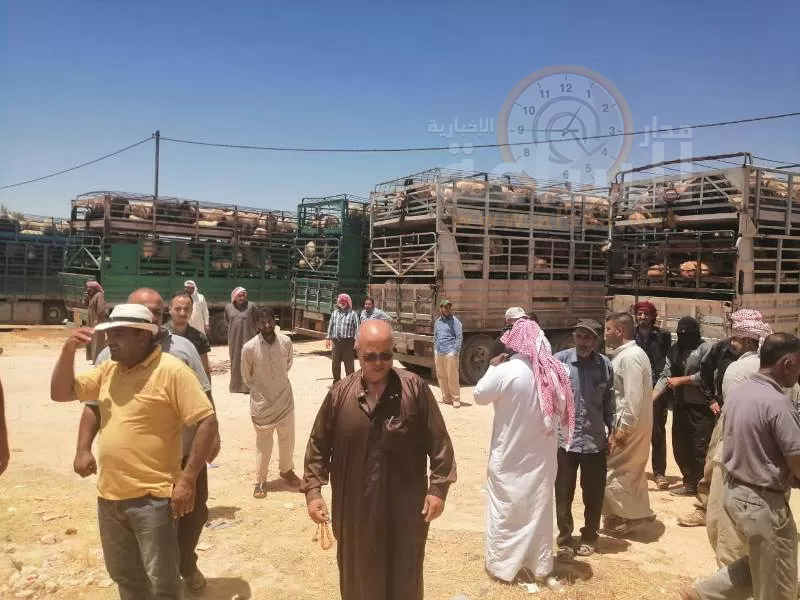مدار الساعة,Video,فيديو,أخبار الأردن,اخبار الاردن,وزير الزراعة