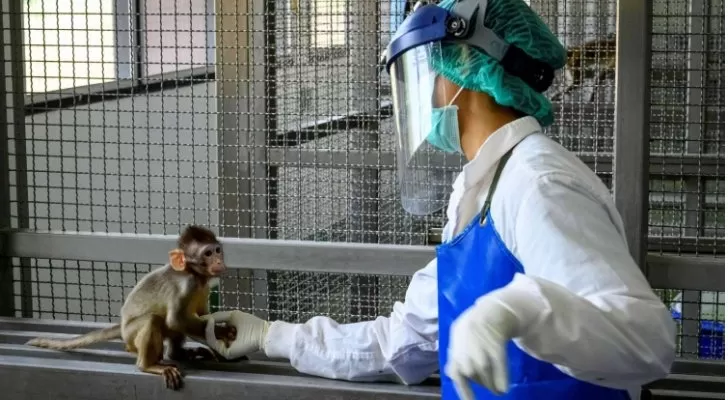 مدار الساعة,أخبار خفيفة ومنوعة,كورونا