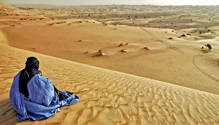 مدار الساعة,أخبار ثقافية
