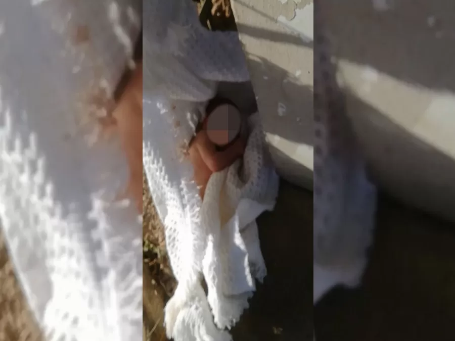 مدار الساعة,أخبار الأردن,اخبار الاردن
