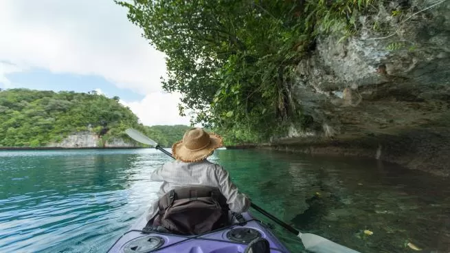 مدار الساعة,أخبار عربية ودولية,كورونا