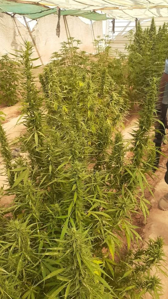 مدار الساعة,أخبار الأردن,اخبار الاردن,البحث الجنائي