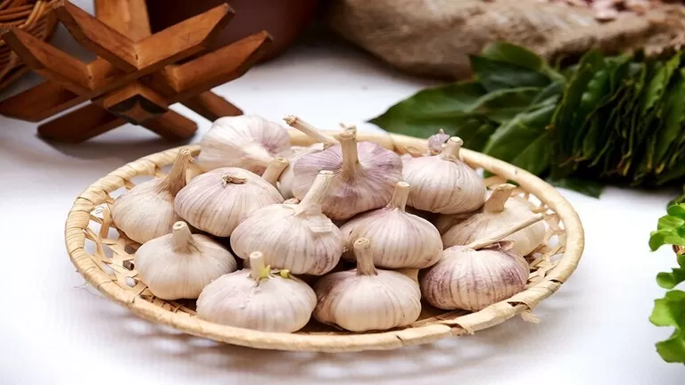 مدار الساعة,أخبار خفيفة ومنوعة