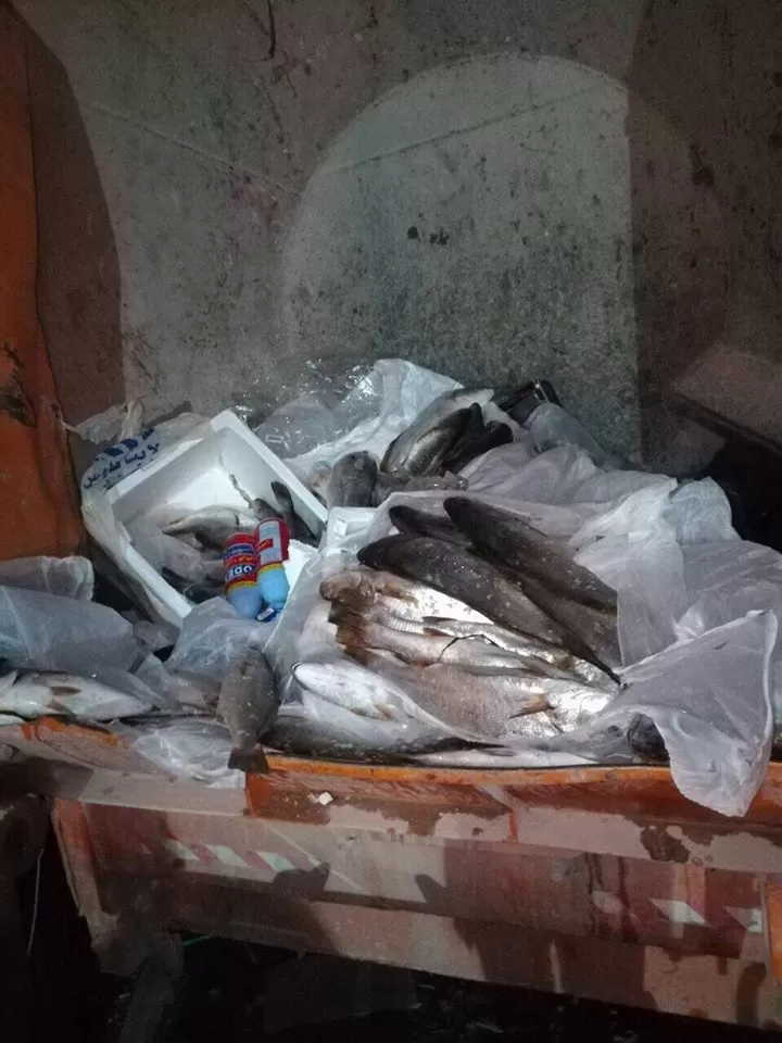 مدار الساعة,أخبار الأردن,اخبار الاردن