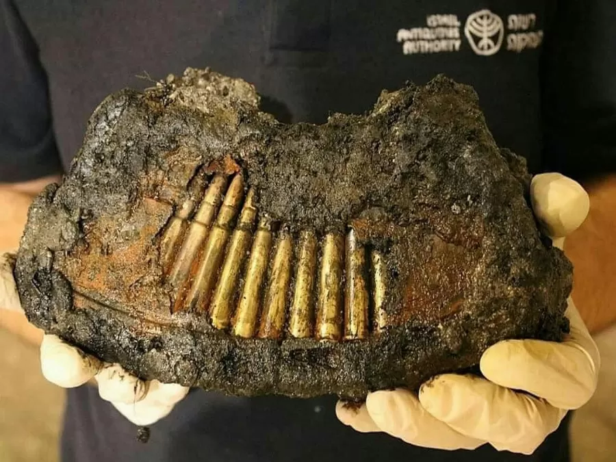 مدار الساعة,مقالات,المسجد الأقصى,الجيش العربي