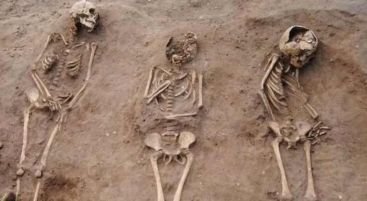 مدار الساعة,أخبار عربية ودولية,منظمة الصحة العالمية