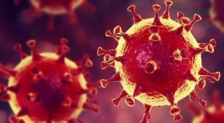 مدار الساعة,أخبار خفيفة ومنوعة,كورونا