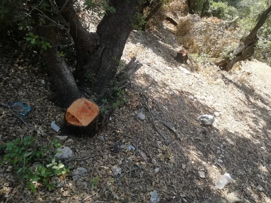 مدار الساعة,أخبار المجتمع الأردني