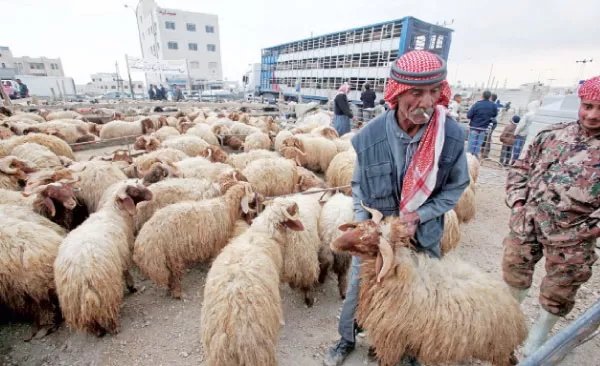 مدار الساعة,أخبار الأردن,اخبار الاردن,عيد الأضحى