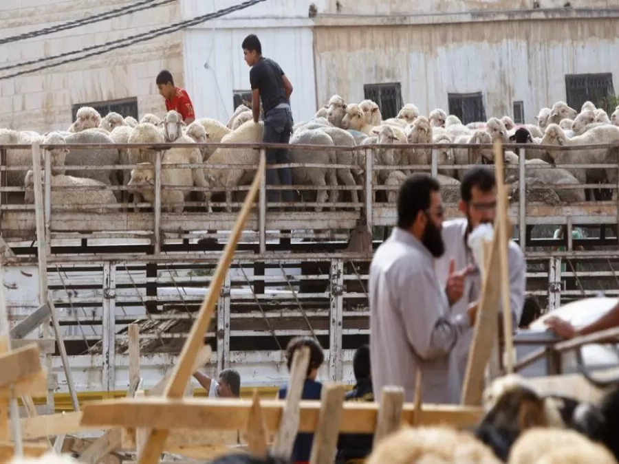 مدار الساعة,أخبار الأردن,اخبار الاردن,أمانة عمان,عيد الأضحى,درجات الحرارة