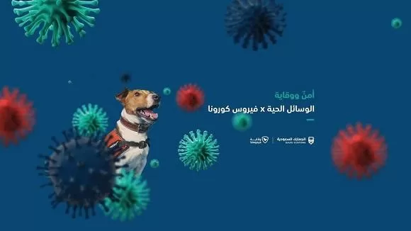 مدار الساعة,أخبار عربية ودولية,كورونا