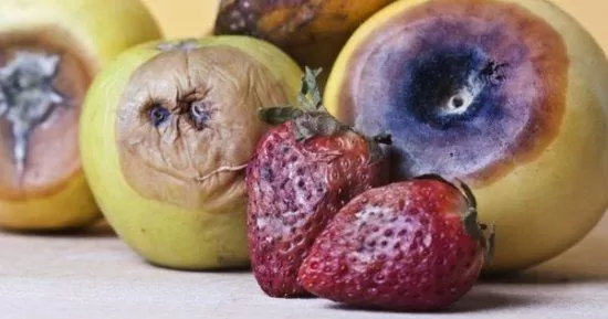 مدار الساعة,أخبار خفيفة ومنوعة