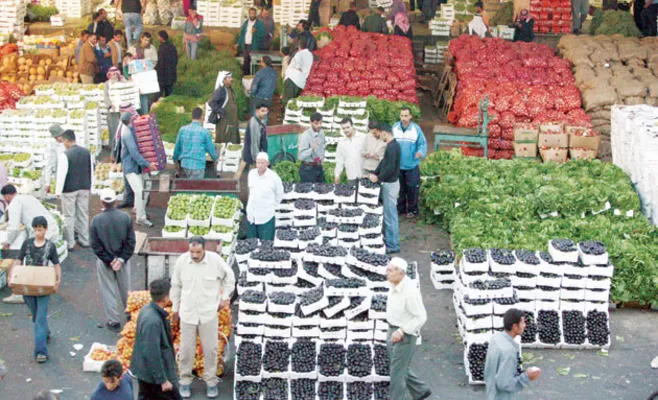مدار الساعة,أخبار الأردن,اخبار الاردن,وزير الزراعة