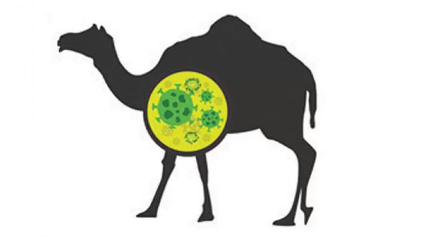 مدار الساعة,أخبار عربية ودولية,كورونا,وزارة الصحة