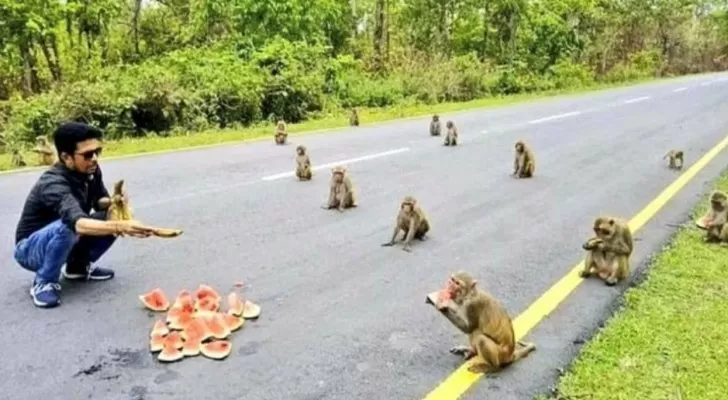 مدار الساعة,أخبار خفيفة ومنوعة