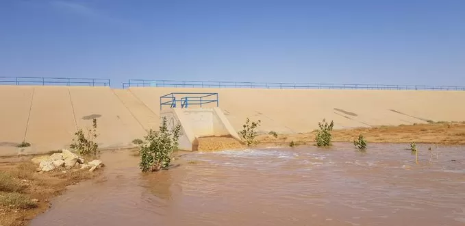 مدار الساعة,أخبار الأردن,اخبار الاردن,سلطة وادي الأردن,وادي الأردن