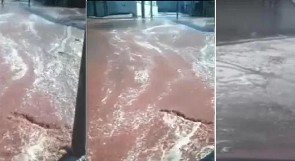 مدار الساعة,Video,فيديو,أخبار خفيفة ومنوعة