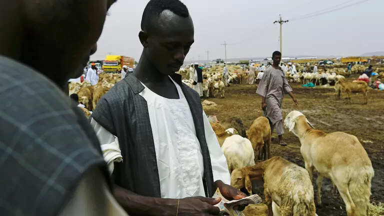 مدار الساعة,أخبار خفيفة ومنوعة