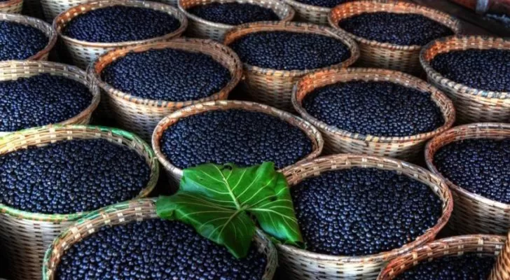 مدار الساعة,أخبار خفيفة ومنوعة,كورونا,كوفيد 19